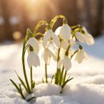 Март в санатории «Виктория»: насыщенная программа досуга для гостей!