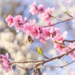 Акция «Здоровье — основа Красоты!»