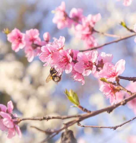 Акция «Здоровье — основа Красоты!»