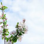Акция «Майские каникулы»